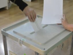 პლებიცისტი