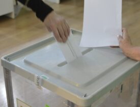 პლებიცისტი