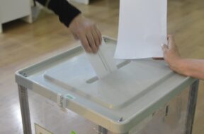 პლებიცისტი