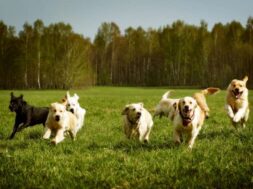 shutterstock_427244110