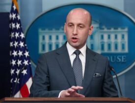 სტივენ მილერი