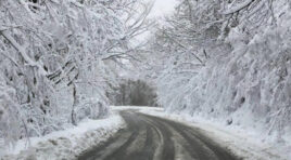 20 იანვრის ამინდის პროგნოზი