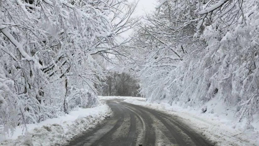 20 იანვრის ამინდის პროგნოზი