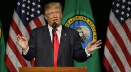 დონალდ ტრამპის სარისკო თამაში