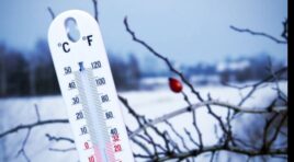 5 იანვრის ამინდის პროგნოზი