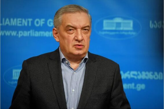 ფაქტია, ვენეციის კომისიამ თავის ფუნქცია დაკარგა და გადაიქცა ბიუროკრატიულ დანამატად – გია ვოლსკი