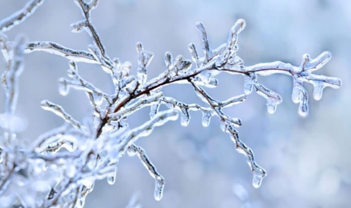 10 იანვარის ამინდის პროგნოზი