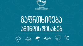 გარემოს ეროვნული სააგენტო 8-10 თებერვალს საქართველოში მოსალოდნელი ამინდის შესახებ მოსახლეობას აფრთხილებს