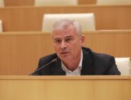 ირაკლი ქადაგიშვილი3