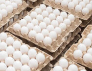 კვერცხები