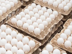 კვერცხები