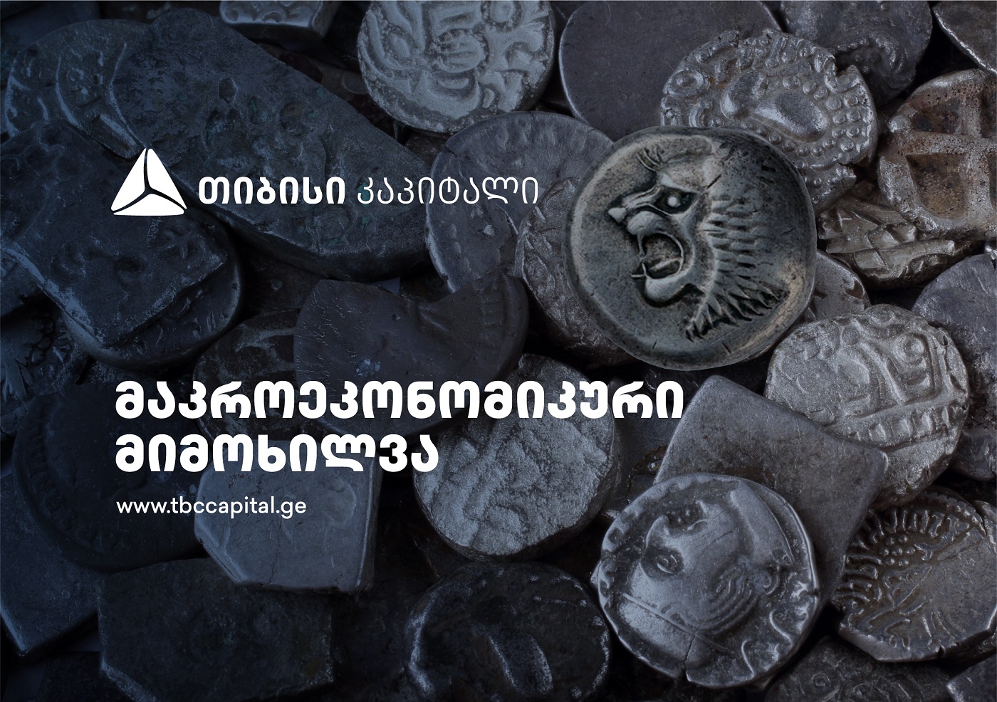 თიბისი კაპიტალმა გაცვლითი კურსის ბიზნეს სტრატეგიის შესახებ კვლევა გამოაქვეყნა