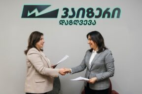 wizer web-02.jpg – Copy