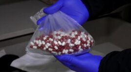 აჭარის პოლიციამ ნარკოდანაშაულის ბრალდებით თურქეთის 2 მოქალაქე დააკავა