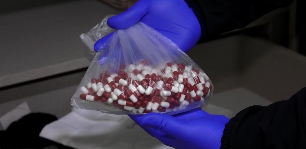 აჭარის პოლიციამ ნარკოდანაშაულის ბრალდებით თურქეთის 2 მოქალაქე დააკავა