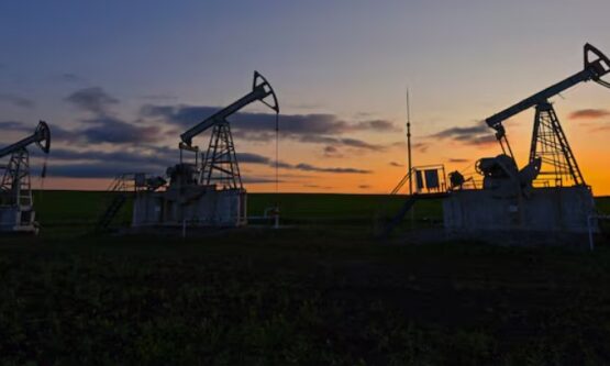 დდდდდდდდდდდდდდდ