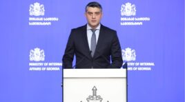 სამართალდამცველებმა სხვადასხვა ნეონაცისტური დაჯგუფებისა და ფაშისტური იდეოლოგიის მხარდამჭერი 13 პირი დააკავეს, მათგან შვიდი არასრულწლოვანია