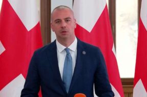 ლევან მაჭავარიანი2