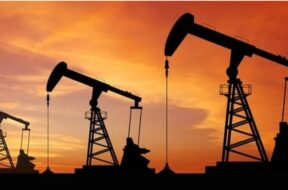 ნავთობი