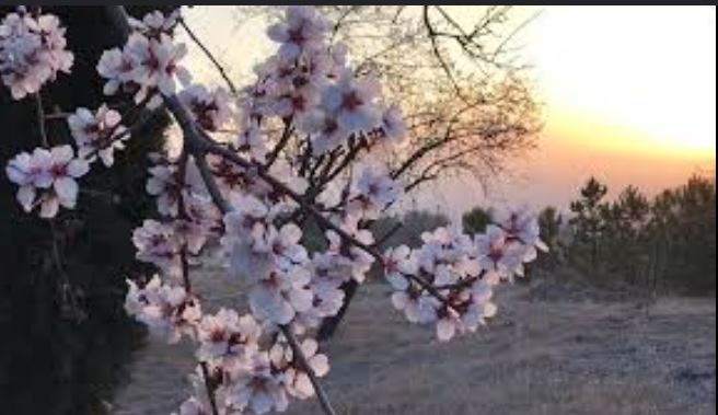 28  მარტის ამინდის პროგნოზი