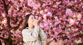 როგორ ვმართოთ სეზონური ალერგია და რა ანტიალერგიული საშუალებები შევარჩიოთ გაზაფხული-ზაფხულის სეზონისთვის