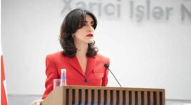 მაკა ბოჭორიშვილი – ვერავინ დამაჯერებს, საქართველო ჩვენზე მეტად უყვართ, არა მხოლოდ საგარეო საქმეთა სამინისტრო, ბევრი სხვა უწყება დაძინების გარეშე შრომობს, რათა ქვეყანაში იყოს მშვიდობა