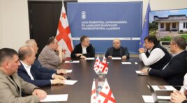 ჯანდაცვის სამინისტრო – დევნილთა სააგენტო იძულებით გადაადგილებულ 500-ზე მეტ ოჯახს – მთელი ქვეყნის მასშტაბით, საცხოვრებელ სახლებს შეუსყიდის