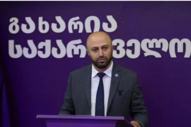 ბერდია სიჭინავა