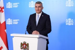 მამუკა5