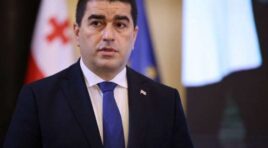 ამ ხალხს ჭკუა არ მოეკითხებათ, ერთადერთი, რაც გვამშვიდებს – თანამდებობა არ აქვთ საიმისოდ, რომ რაკეტები დაგვიშინონ, თორემ ამაზეც არ იტყოდნენ უარს – შალვა პაპუაშვილი ევროპარლამენტარებზე
