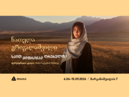 თიბისი კონცეპტი – GEO – 1
