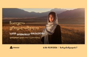 თიბისი კონცეპტი – GEO – 1