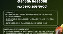 როგორ დავიცვათ თავი ტკიპებისგან – სპეციალისტების რეკომენდაციები