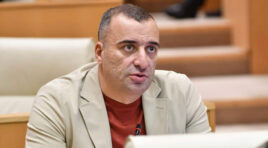 რატი იონათამიშვილი – არცერთ საერთაშორისო ინსტიტუტს არ აქვს უფლება, ქვეყნის სუვერენიტეტში ჩაერიოს