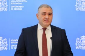 სარჯველაძე2