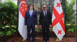 ირაკლი კობახიძე სინგაპურის პრეზიდენტს შეხვდა
