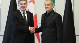 მიხეილ ყაველაშვილი ირანში ჩავიდა, სადაც ირანის პრეზიდენტს, მასუდ ფეზეშქიანს შეხვდა