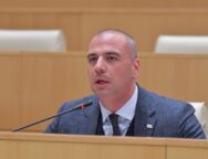 ლევან მაჭავარიანი4