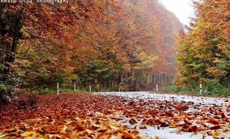 24 სექტემბრის ამინდის პროგნოზი
