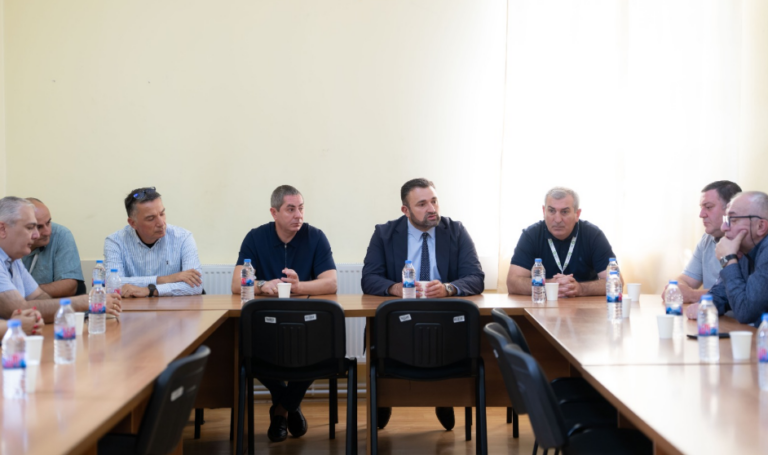 ცესკოს ხელმძღვანელი პირები ახმეტის საოლქო საარჩევნო კომისიას შეხვდნენ