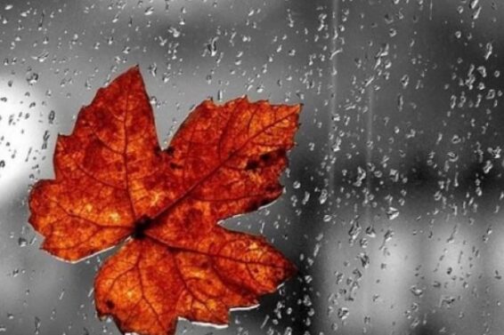 17 სექტემბრის ამინდის პროგნოზი