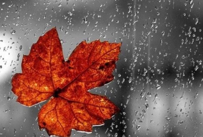 17 სექტემბრის ამინდის პროგნოზი
